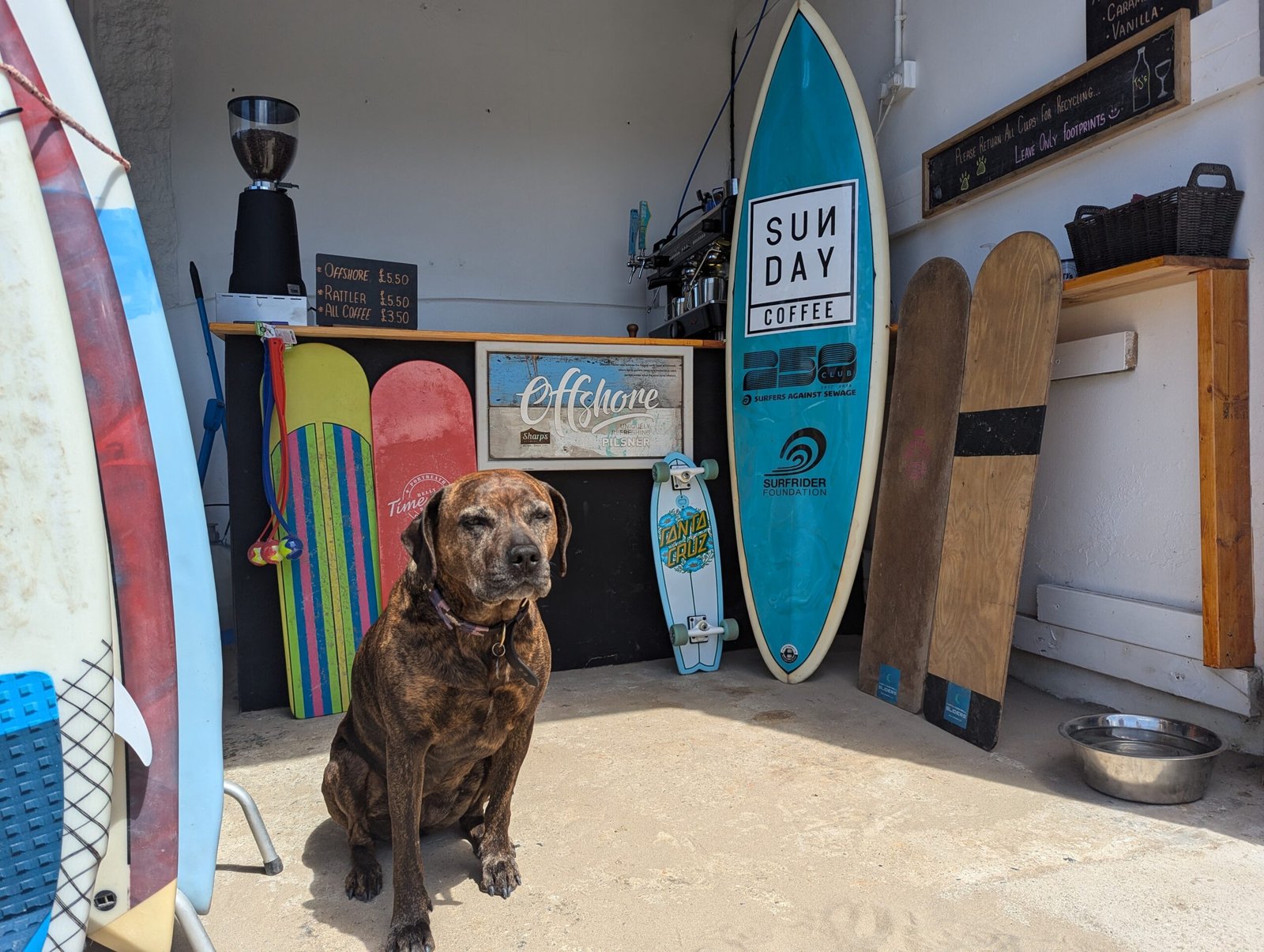 Surf Shop Page Image 1